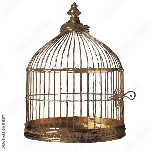 an ornate vintage golden brass birdcage with a domed top, decorative finial, vertical bars, and a small door latch, showing an aged and antique appearance.