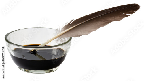 Fotografie Feather quill dipping into dark ink in glass bowl