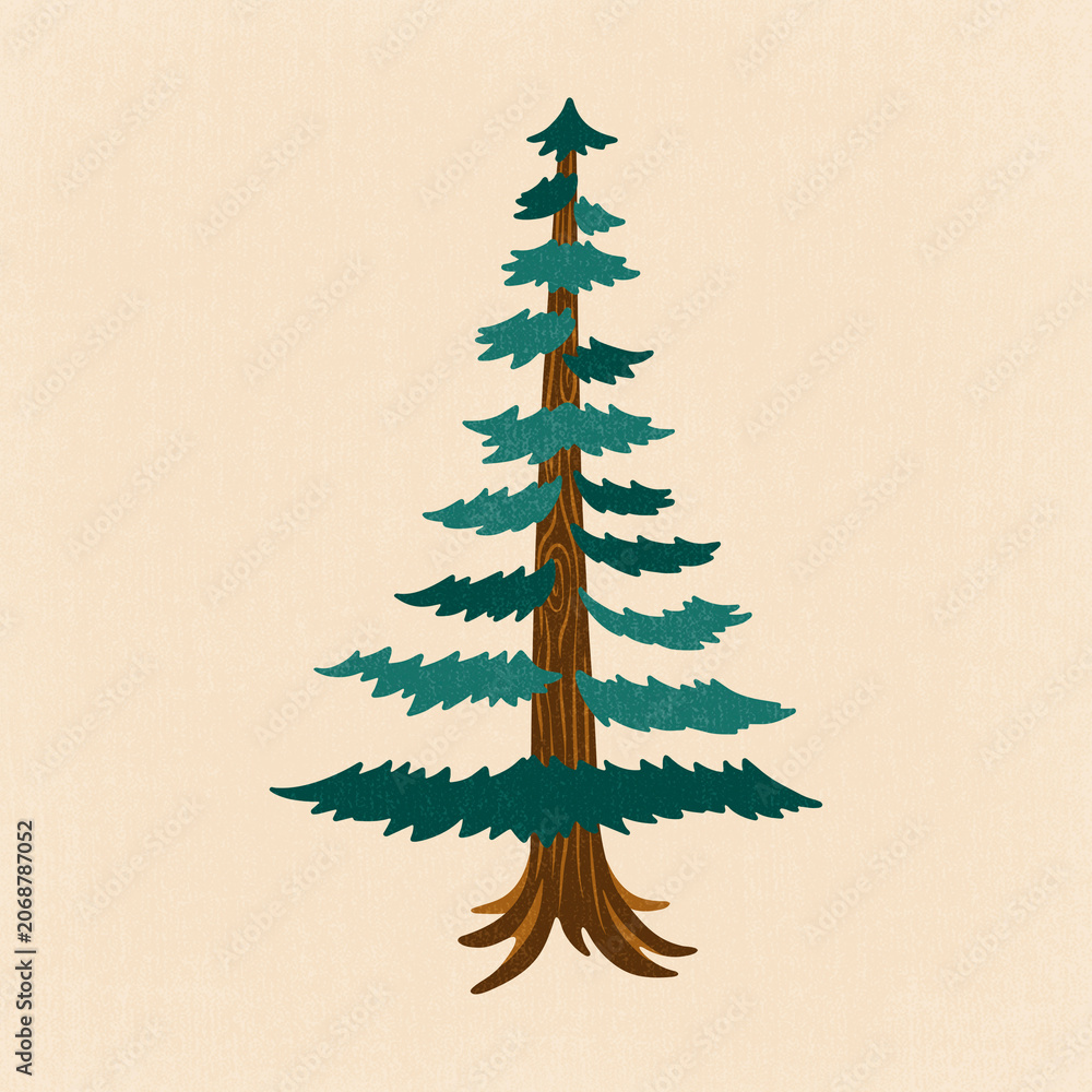 Naklejka premium Conifer tree clipart, aesthetic nature cartoon illustration
