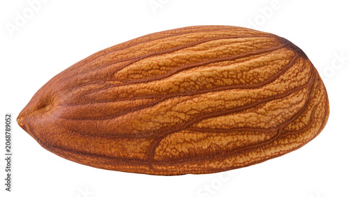 Fotografía Single whole almond nut with textured brown skin