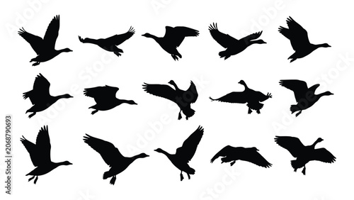 Cuadro en lienzo Black silhouettes of flying birds in various positions
