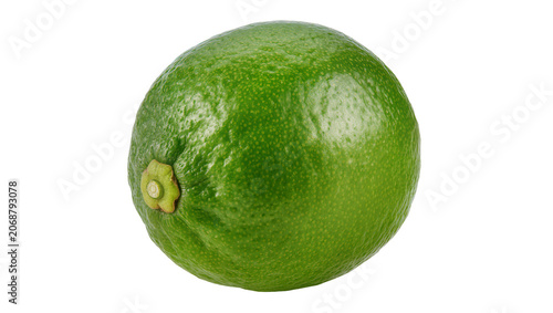 Canvastavla Whole green lime with textured rind and stem nub