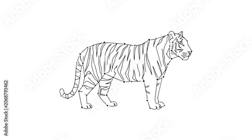 Canvas Print Tiger outline connect the dots illustration, line art drawing of a wild cat, edu
