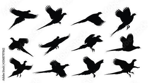 Canvas Print Black silhouettes of birds flying