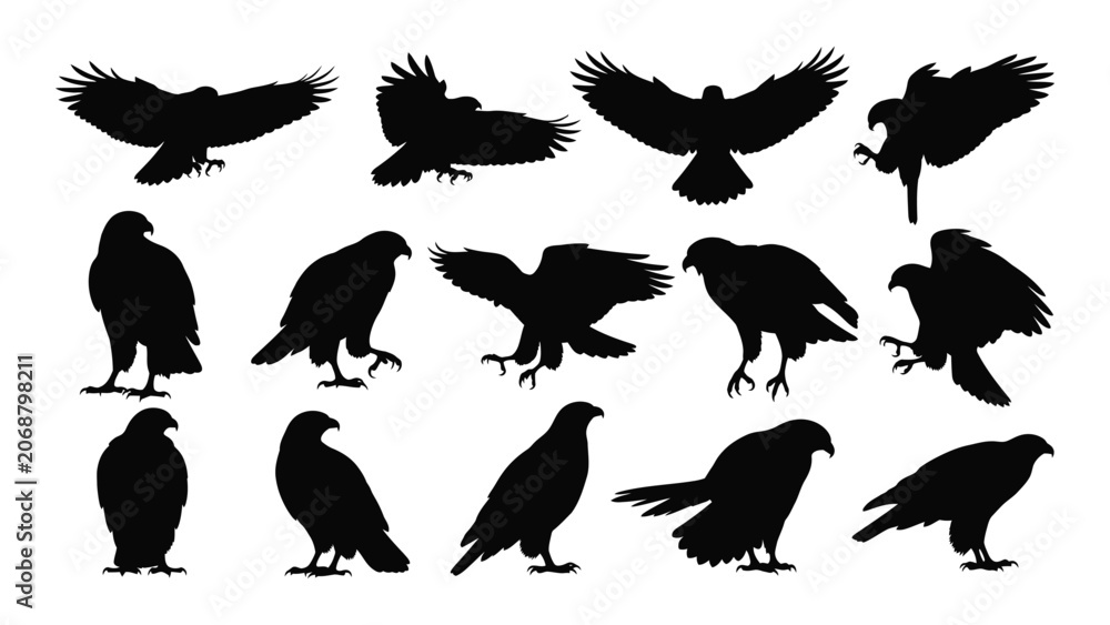 Fototapeta premium Black silhouettes of various ravens and crows