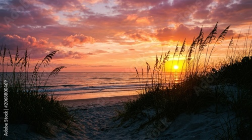 Coastal sunset scene with sea oats and dramatic sky