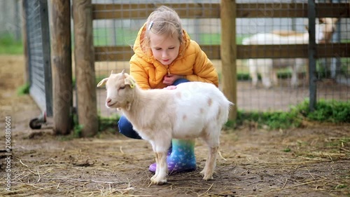 Young girl feeding goats in a farm animal enclosure