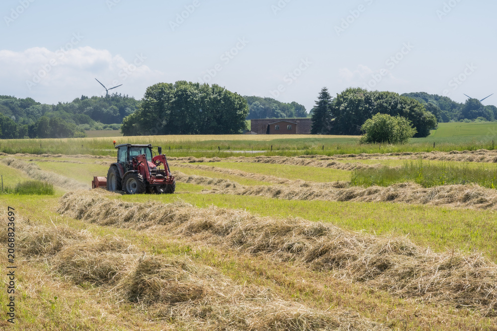 Fototapeta premium Red tractor raking hay on a sunny summer field