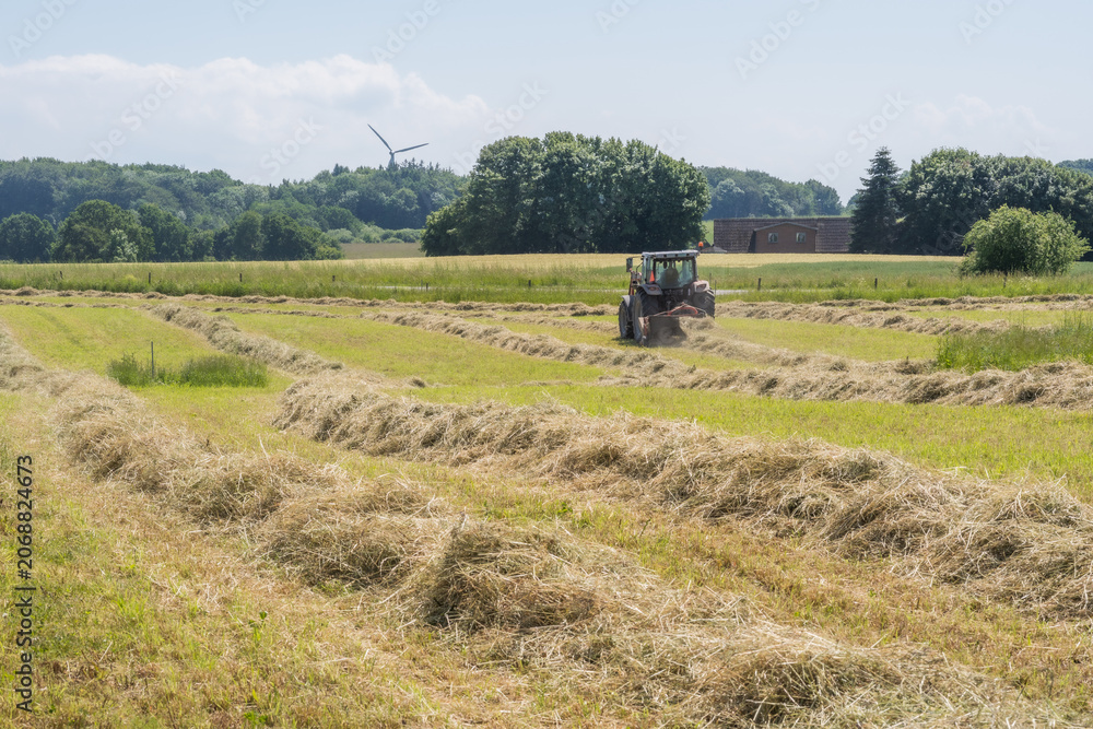 Fototapeta premium Red tractor raking hay on a sunny summer field