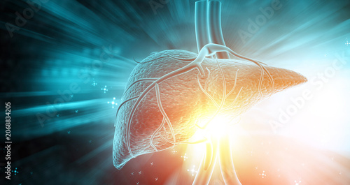 фотографія Detailed 3D medical illustration of a human liver positioned against a glowing abstract scientific background