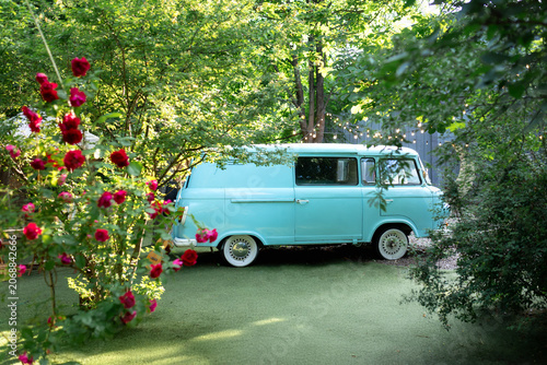 Vintage light blue van parked on a green lawn in a beautiful garden backyard with blooming red rose bushes and cozy string lights in the background. Classic retro minibus on a sunny summer day.