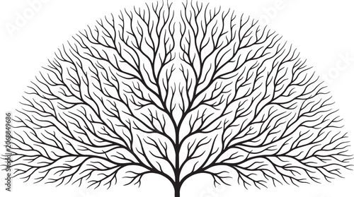Symmetrical tree silhouette with intricate branching patterns isolated on white background for graphic design and nature projects