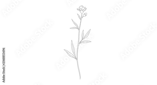 Tableau sur toile Floral sketch