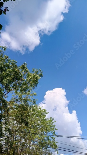 Bright blue sky with fluffy white clouds and green tree foliage.