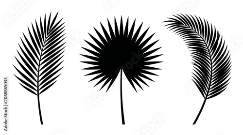 Three different black palm leaf silhouettes isolated on white background.