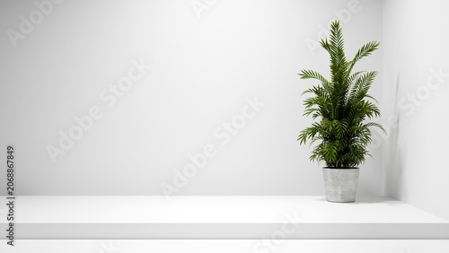 White table background with plant and spotlight. White empty display podium stage table for design and product placement