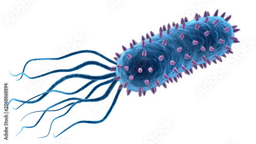 Schilderij op canvas Blue bacterium with flagella and purple spikes