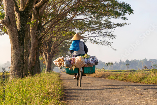 Back view of a traditional Indonesian woman riding a bicycle loaded with grocery goods and vegetables on a rural village road under large shady trees in warm morning sunlight, culture concept backdrop