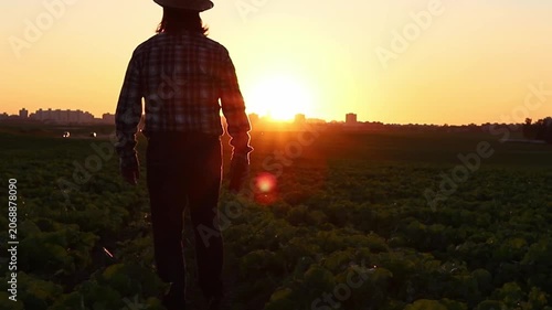 A man walks through a vast agricultural field at sunset. His silhouette stands against the orange sky. The sun shines brightly over the distant landscape, illuminating the rich green crops