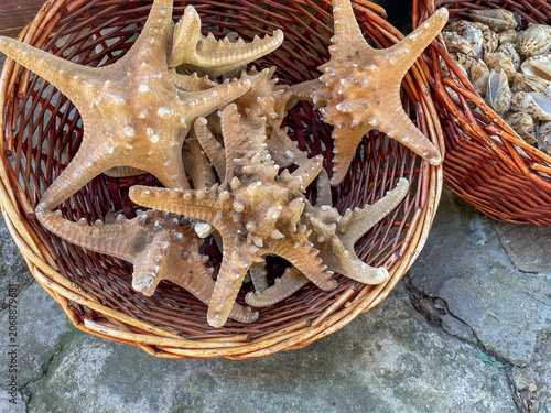 Horizontal top down close up shot of a group of dried brown starfish with bumpy spiky textures piled inside a woven wicker basket displayed at a souvenir shop