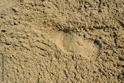 top-down close-up shot of a patch of damp yellow sand with a light human footprint compression