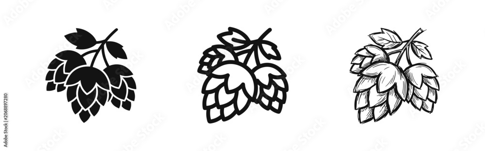 Obraz premium Hop Cones and Leaves Icon Set: Solid, Outline, and Sketch Styles