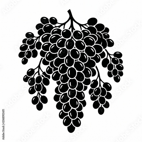bunch of grapes vector