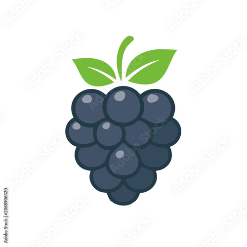 Flat illustration of a grape cluster with leaf