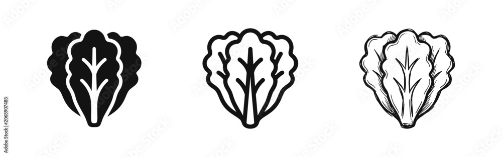 Fototapeta premium Set of lettuce vegetable icons in different art styles