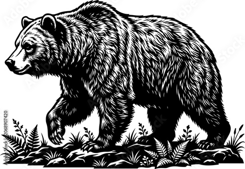 Photography Bear silhouette vector illustration