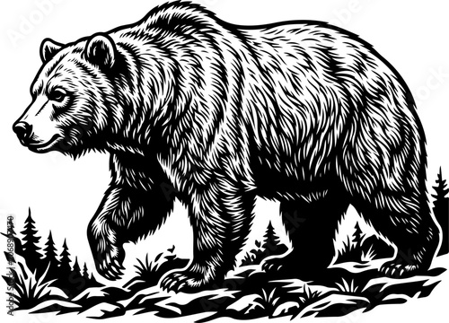 Canvas Print Bear silhouette vector illustration