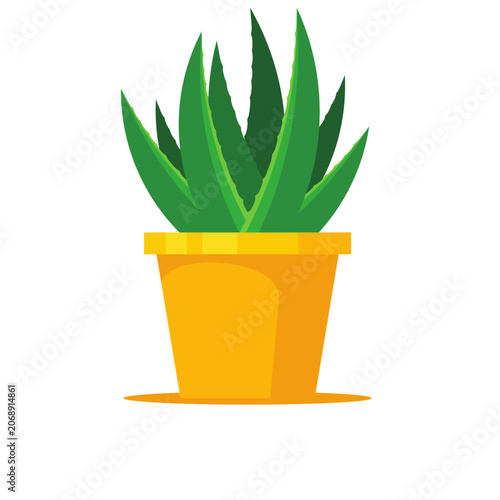 Vector illustration of a green aloe vera plant in a yellow flower pot