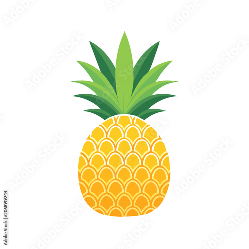 Flat vector illustration of a pineapple