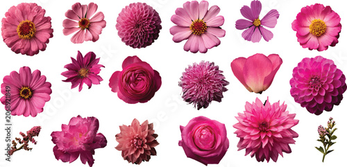 collection of flowers