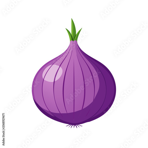 Purple Onion Vector Illustration