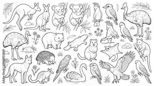 Cuadro en lienzo Australian animals line art collection, hand drawn wildlife vector set, kangaroo