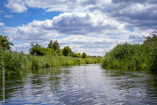 Slika na platnu Calm river flowing between green reeds under cloudy sky in summer
