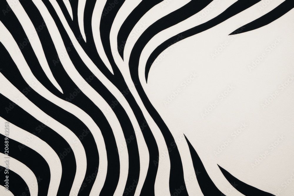 Obraz premium Abstract zebra stripes pattern with curved black lines on light background and empty space on right for design template or poster mockup concept. Ai generative