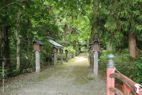 神社につながる参道