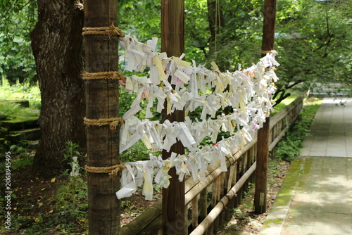 神社に結ばれたおみくじ