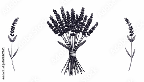 Obraz na plátně Bouquet of purple lavender flowers tied.