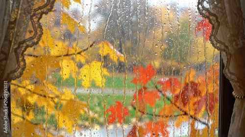 Autumn Rain and Golden Maple Leaves Through Window Glass