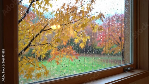Raindrops on window pane with colorful autumn trees in background