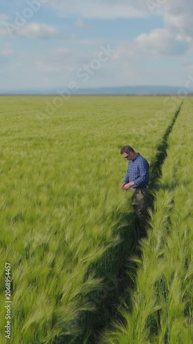 Aerial approach of agronomist checking green barley crop slow motion