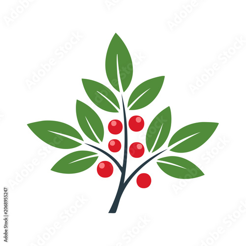 Flat illustration of a berry branch with green leaves and red berries