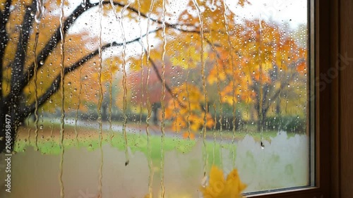 Rainy autumn day view through window with golden trees outside