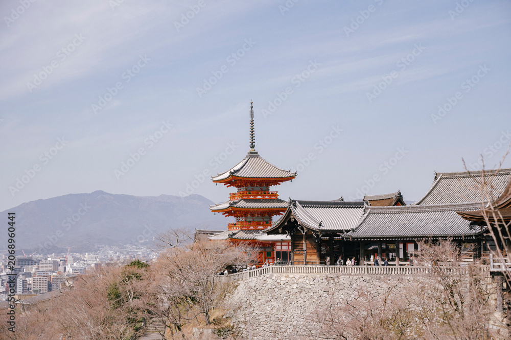 Naklejka premium Kyoto pagoda above cherry trees and distant hills
