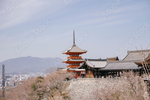 Kyoto pagoda above cherry trees and distant hills
