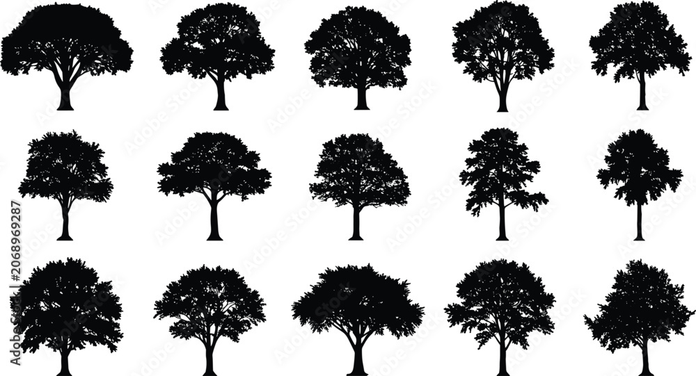 Fototapeta premium Collection of realistic tree silhouettes with dense foliage and unique shapes, black forest tree vector illustration isolated on white