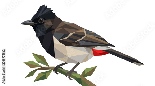 фотографія Geometric Red-vented Bulbul Bird on Branch, Low Poly Style, White Background